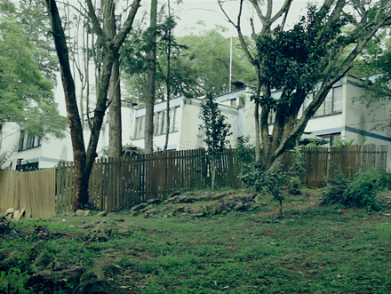 Horelli_The Terrace(1)_2011.jpg